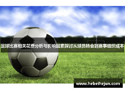 足球比赛相关花费分析与影响因素探讨从球员转会到赛事组织成本