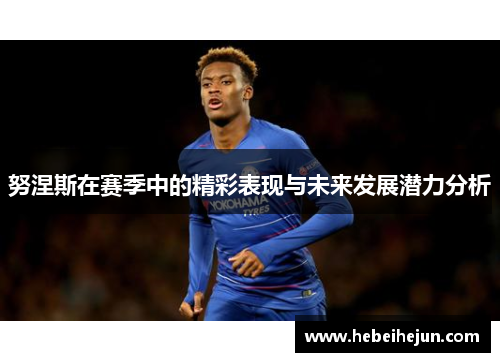 努涅斯在赛季中的精彩表现与未来发展潜力分析