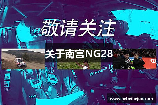 关于南宫NG28